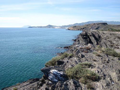 Cetaceos-&-Navegacion-Bahía-de-Mazarrón